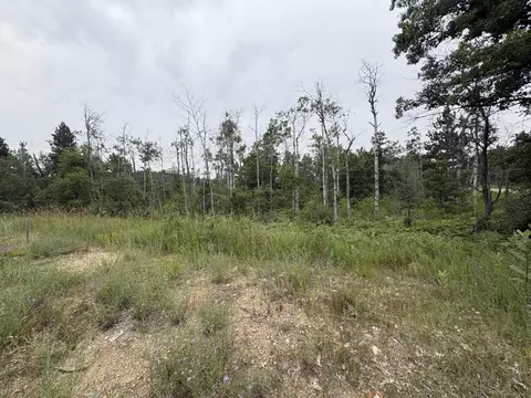 5544 E County Road 612, Grayling, MI 49738 photo 8