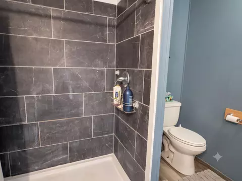 Bath - 6229 E Brutus Rd, Alanson, MI 49706 photo 3 of 4