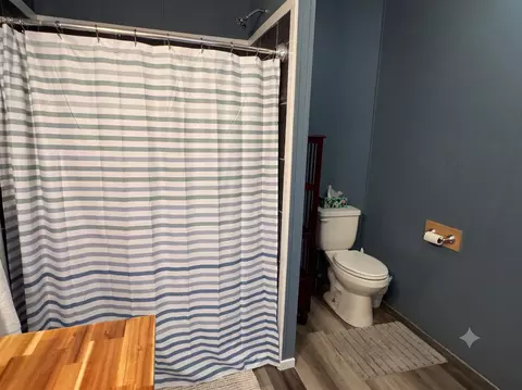 Bath - 6229 E Brutus Rd, Alanson, MI 49706 photo 2 of 4