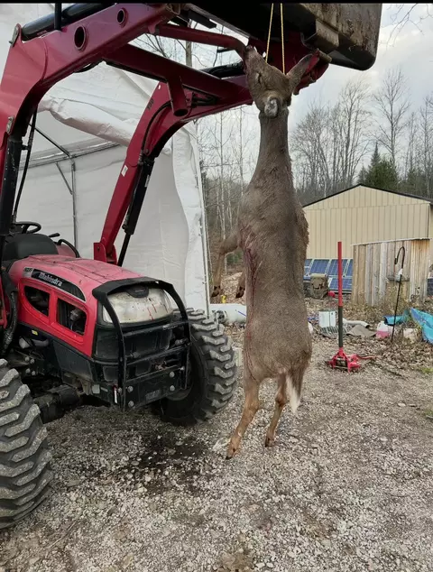 Other - 4446 Shooks Rd, Wolverine, MI 49799 photo 5 of 10