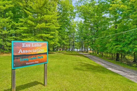 View/Area - 18975 Red Pine Dr, Hillman, MI 49746 photo 8 of 11