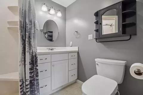 Bath - 18975 Red Pine Dr, Hillman, MI 49746 photo 1 of 2