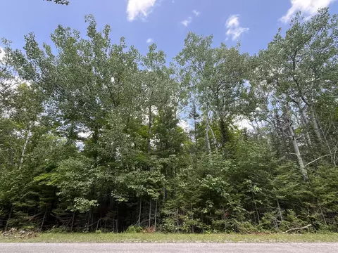 lot46 Renwick Cir, Presque Isle, MI 49777