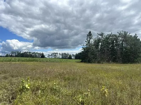Parcel 4 W Mccoy Road, Gaylord, MI 49735