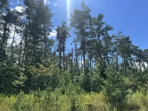 Parcel 6 W Mccoy Road, Gaylord, MI 49735