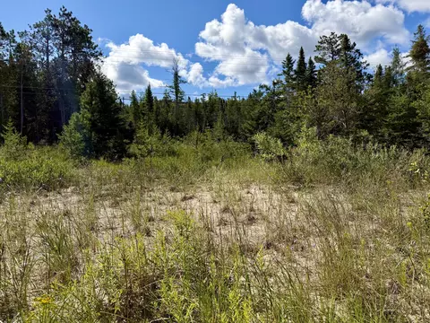 V/L Ray Drive #2 ACRES, Ocqueoc, MI 49759 photo 9