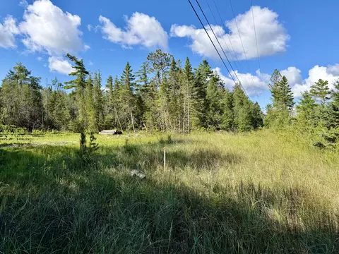 V/L Ray Drive #2 ACRES, Ocqueoc, MI 49759 photo 17