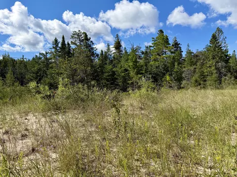 V/L Ray Drive #2 ACRES, Ocqueoc, MI 49759 photo 8