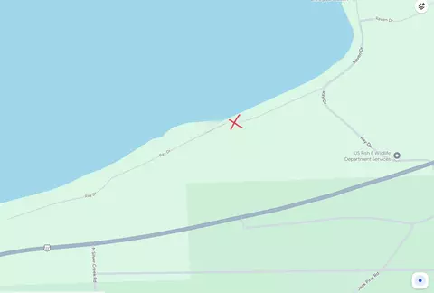 V/L Ray Drive #2 ACRES, Ocqueoc, MI 49759 photo 2