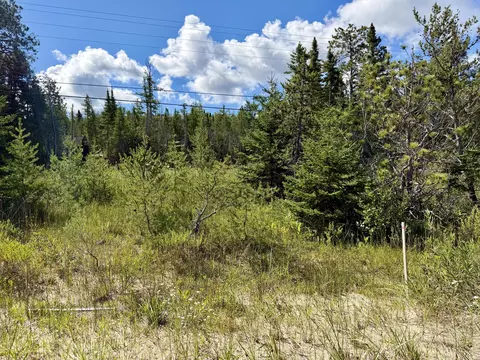 V/L Ray Drive #2 ACRES, Ocqueoc, MI 49759 photo 7