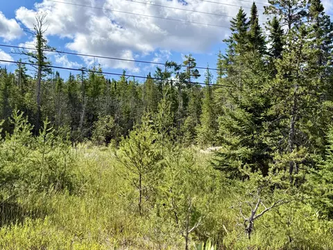 V/L Ray Drive #2 ACRES, Ocqueoc, MI 49759 photo 6