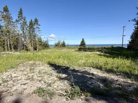 V/L Ray Drive #2 ACRES, Ocqueoc, MI 49759 photo 5