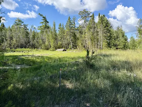 V/L Ray Drive #2 ACRES, Ocqueoc, MI 49759 photo 4