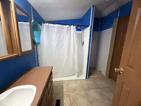 Bath - 2601 E Swede Rd, Spruce, MI 48762 photo 2 of 2