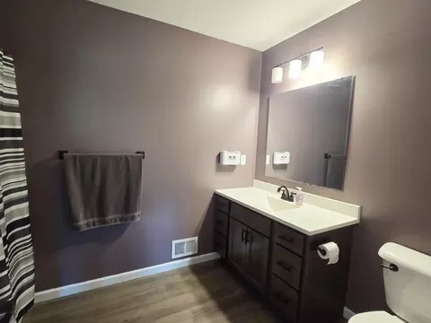 Bath - 4150 Ash Ln, Gladwin, MI 48624 photo 4 of 5