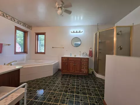 Bath - 2416 Hoy Rd, Mio, MI 48647 photo 2 of 9