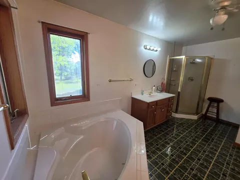 Bath - 2416 Hoy Rd, Mio, MI 48647 photo 5 of 9