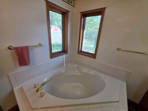 Bath - 2416 Hoy Rd, Mio, MI 48647 photo 3 of 9