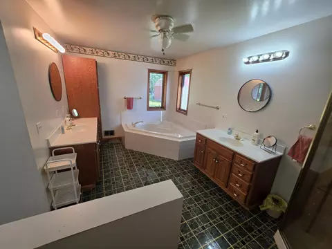 Bath - 2416 Hoy Rd, Mio, MI 48647 photo 6 of 9