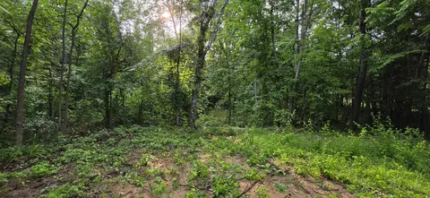 7925 Michigan 18, Gladwin, MI 48624 photo 7