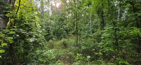 7925 Michigan 18, Gladwin, MI 48624 photo 6