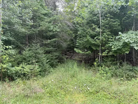 V/l .41 Ac Shubert Highway, Presque Isle, MI 49777
