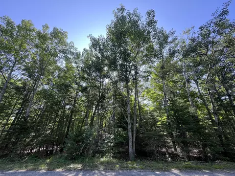 lot34 Renwick Cir, Presque Isle, MI 49777
