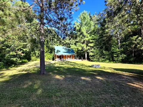 Exterior - 7534 N Old 27, Frederic, MI 49733 photo 21 of 24