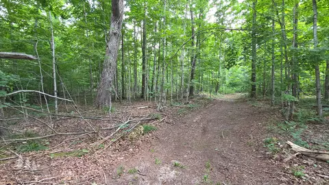 2139 Myrtle Ln, Vanderbilt, MI 49795 photo 17