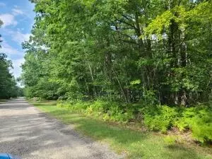 V/L Wolverine Trail #S 488-491, Gaylord, MI 49735