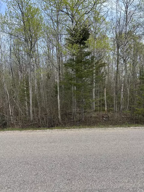 13378 N Mackinaw Hwy #3 ACRES, Mackinaw City, MI 49701