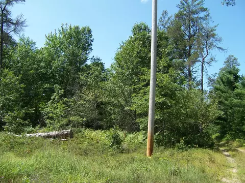 5 E Acres E Pinewood Trl #PARCELS D & G, Roscommon, MI 48653 photo 5