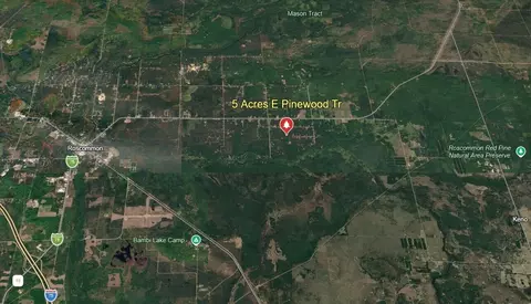 5 E Acres E Pinewood Trl #PARCELS D & G, Roscommon, MI 48653 photo 7