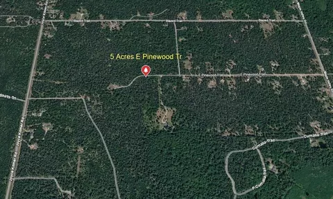 5 E Acres E Pinewood Trl #PARCELS D & G, Roscommon, MI 48653 photo 2