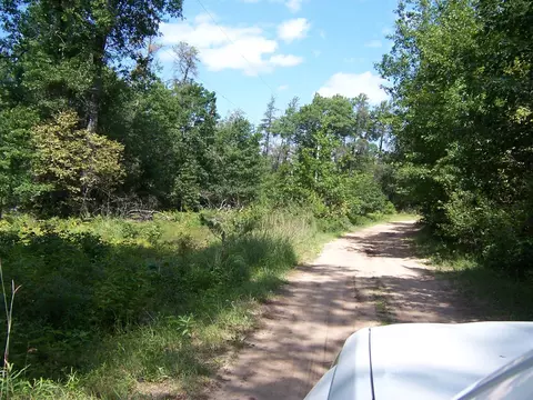 5 E Acres E Pinewood Trl #PARCELS D & G, Roscommon, MI 48653 photo 3