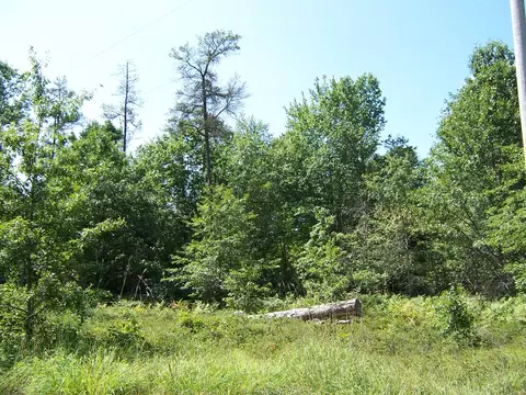 5 E Acres E Pinewood Trl #PARCELS D & G, Roscommon, MI 48653 photo 4
