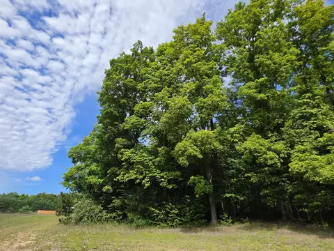 3015 N Weaver Rd, Fairview, MI 48621 photo 7