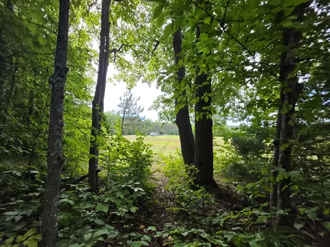 3015 N Weaver Rd, Fairview, MI 48621 photo 39