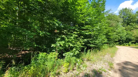 lot223 Beechnut Ln, Wolverine, MI 49799 photo 4