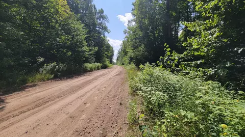 lot223 Beechnut Ln, Wolverine, MI 49799 photo 6