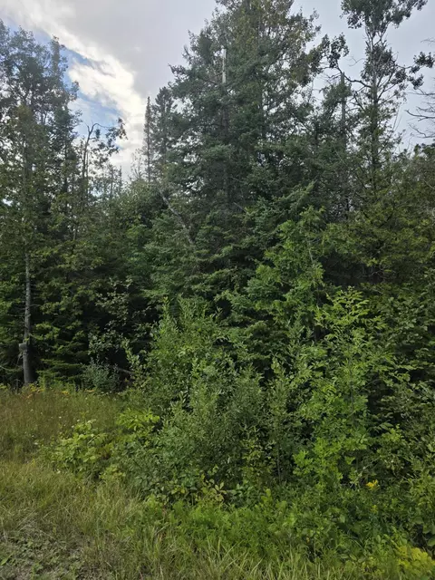 V/L Klee Road #10.02 ACRES, Rogers City, MI 49779