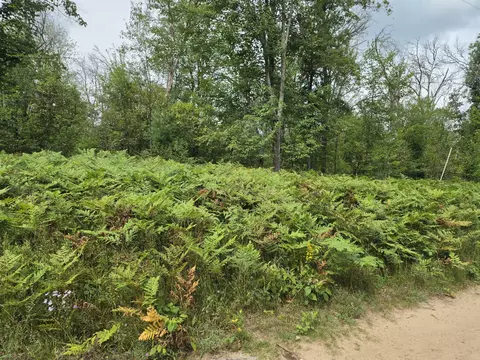 williams trail, Grayling, MI 49738 photo 9