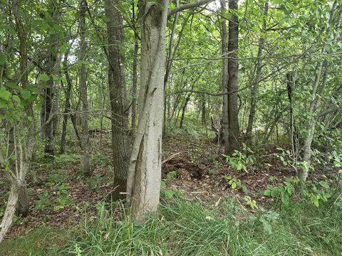 williams trail, Grayling, MI 49738 photo 24