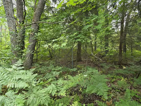 williams trail, Grayling, MI 49738 photo 8