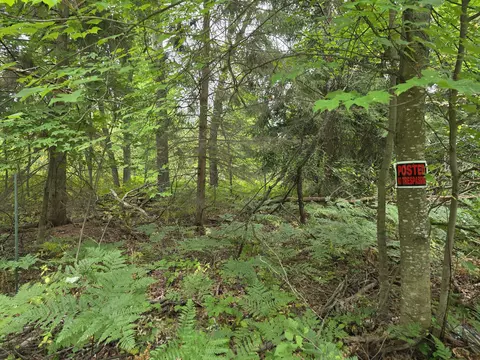 williams trail, Grayling, MI 49738 photo 7