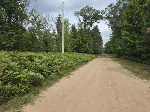 williams trail, Grayling, MI 49738 photo 11