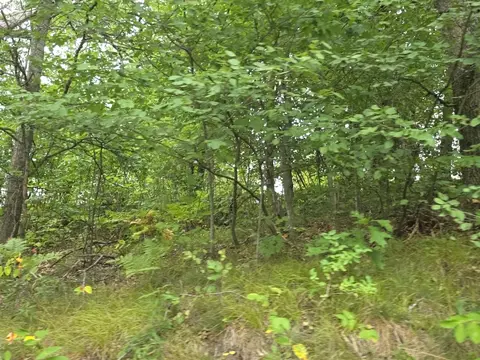williams trail, Grayling, MI 49738 photo 23