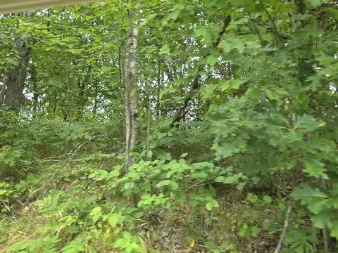 williams trail, Grayling, MI 49738 photo 21