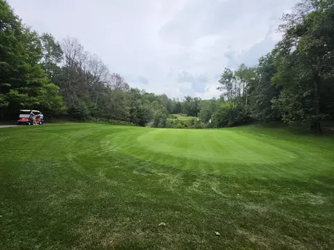 williams trail, Grayling, MI 49738 photo 26