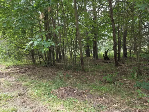 williams trail, Grayling, MI 49738 photo 4